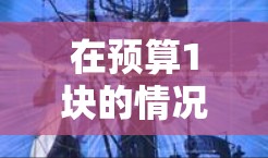 在预算1块的情况下,选择一款端游加速器的策略如下