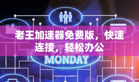 老王加速器免费版,快速连接,轻松办公