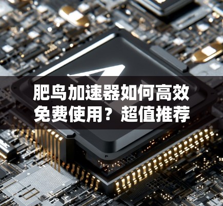 肥鸟加速器如何高效免费使用？超值推荐