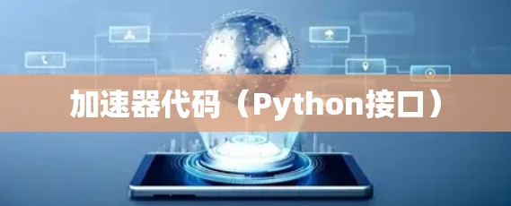 加速器代码（Python接口）