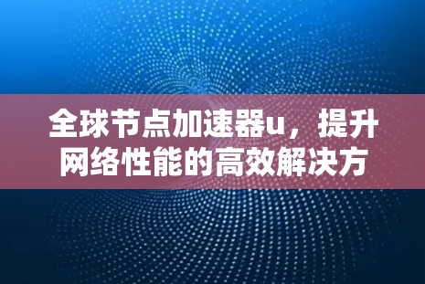 全球节点加速器u，提升网络性能的高效解决方案
