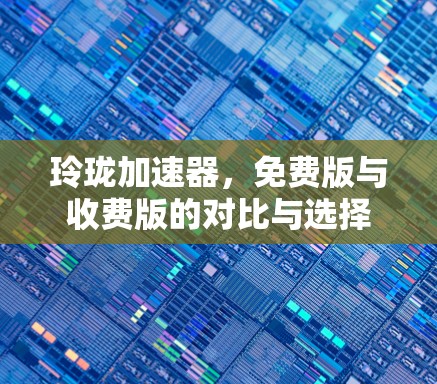 玲珑加速器，免费版与收费版的对比与选择