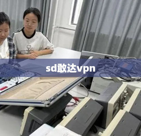 sd敢达vpn