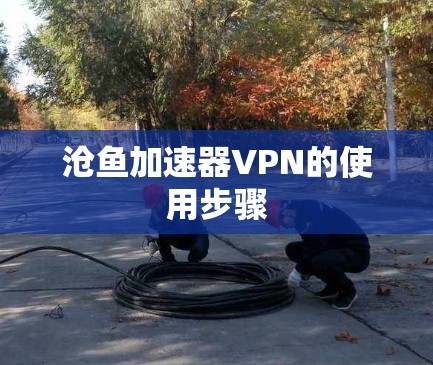 沧鱼加速器VPN的使用步骤