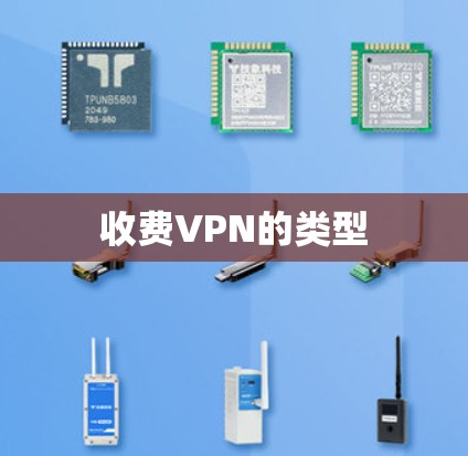 收费VPN的类型
