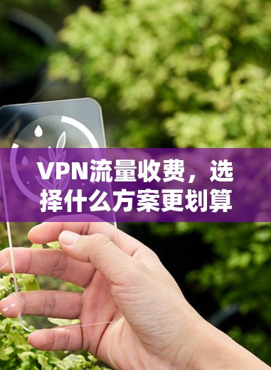 VPN流量收费，选择什么方案更划算？