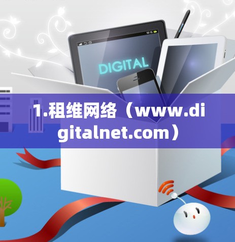 1.租维网络（www.digitalnet.com）