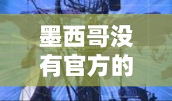 墨西哥没有官方的VPN服务，但如果你对墨西哥的网络环境感兴趣，以下是一些可能的信息和建议