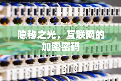 隐秘之光，互联网的加密密码