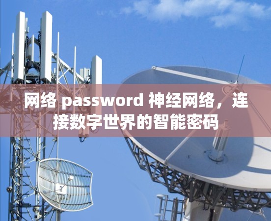 网络 password 神经网络，连接数字世界的智能密码
