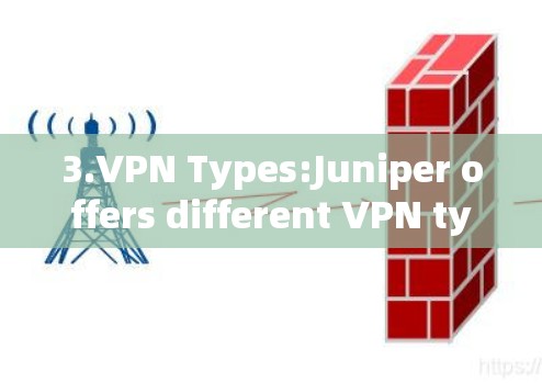 3.VPN Types:Juniper offers different VPN types: