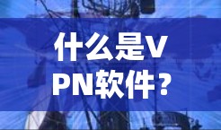什么是VPN软件？