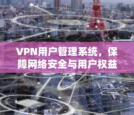 VPN用户管理系统，保障网络安全与用户权益