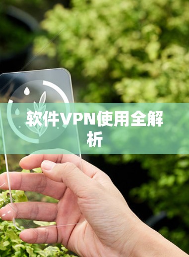 软件VPN使用全解析