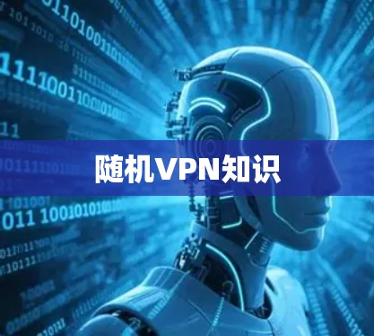随机VPN知识