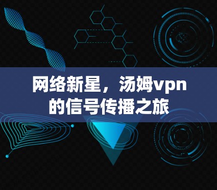 网络新星，汤姆vpn的信号传播之旅