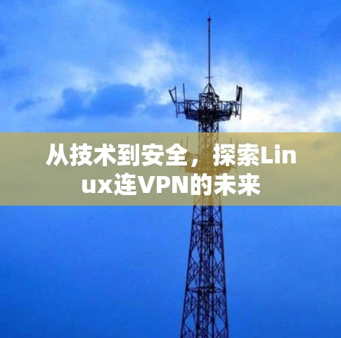 从技术到安全,探索Linux连VPN的未来 从技术到安全,探索Linux连VPN的未来