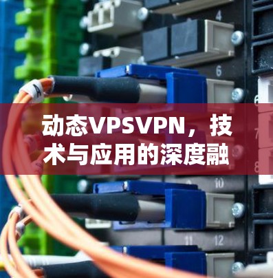 动态VPSVPN,技术与应用的深度融合 动态VPSVPN,技术与应用的深度融合