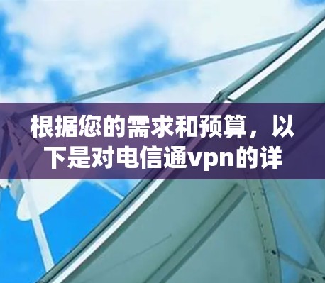 根据您的需求和预算，以下是对电信通vpn的详细分析和建议