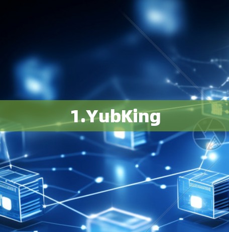 1.YubKing 1.YubKing
