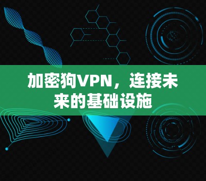 加密狗VPN，连接未来的基础设施