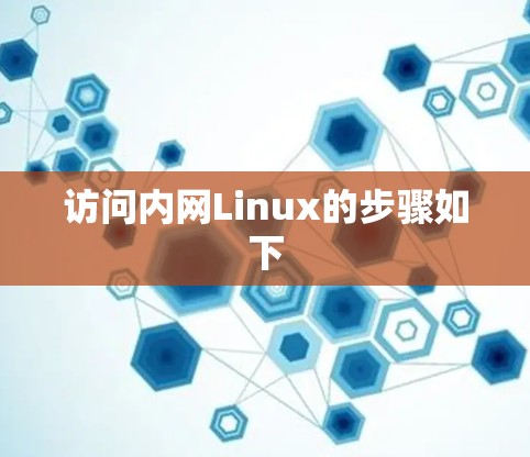 访问内网Linux的步骤如下