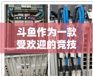 斗鱼作为一款受欢迎的竞技类游戏，吸引了大量粉丝。为了保护主播的安全和游戏体验，选择一个可靠VPN服务是必要的。以下是一些关于如何选择和使用斗鱼主播VPN的建议