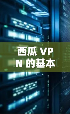 西瓜 VPN 的基本概念