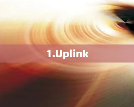 1.Uplink