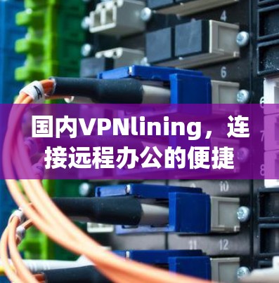 国内VPNlining,连接远程办公的便捷之道 国内VPNlining,连接远程办公的便捷之道