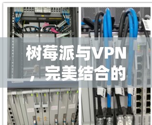 树莓派与VPN,完美结合的上网体验 树莓派与VPN,完美结合的上网体验