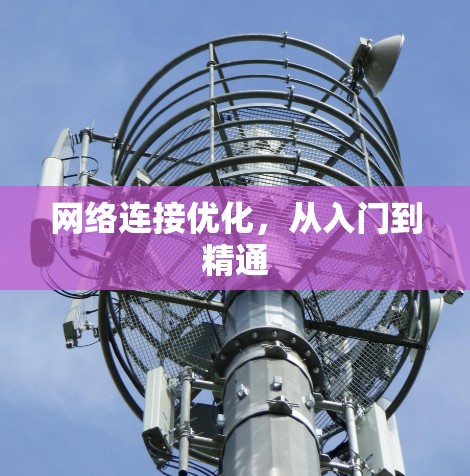 网络连接优化，从入门到精通