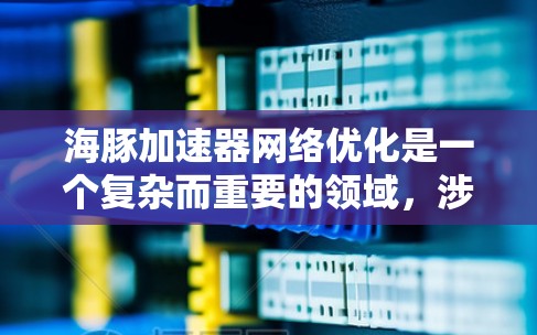 海豚加速器网络优化是一个复杂而重要的领域,涉及多个方面,从网络设计到用户体验优化,再到安全措施,最终影响到用户网络连接的性能和安全。以下是对该领域问题的分步解释 海豚加速器网络优化是一个复杂而重要的领域,涉及多个方面,从网络设计到用户体验优化,再到安全措施,最终影响到用户网络连接的性能和安全。以下是对该领域问题的分步解释