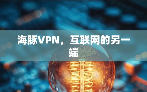 海豚VPN，互联网的另一端