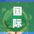 国际服务器连接系统是一种通过网络连接多个服务器的工具，旨在管理服务器之间的通信和访问。以下是该系统的主要特点、使用方法和注意事项