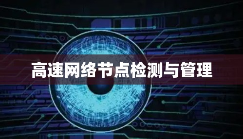 高速网络节点检测与管理