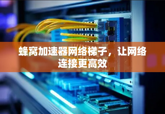蜂窝加速器网络梯子，让网络连接更高效