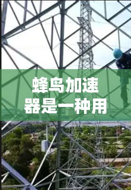 蜂鸟加速器是一种用于提升手机或电脑应用加载速度的工具，通过缓存和加速特定资源，从而提高用户体验。以下是关于蜂鸟加速器的详细解析
