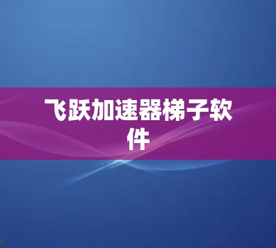 飞跃加速器梯子软件