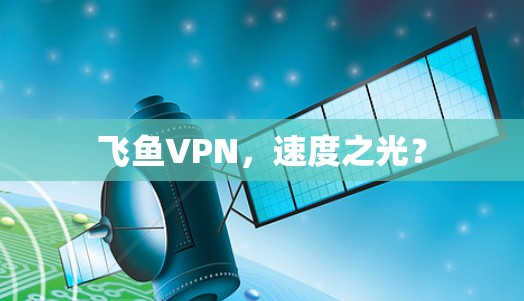 飞鱼VPN，速度之光？