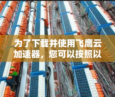 为了下载并使用飞鹰云加速器，您可以按照以下步骤进行