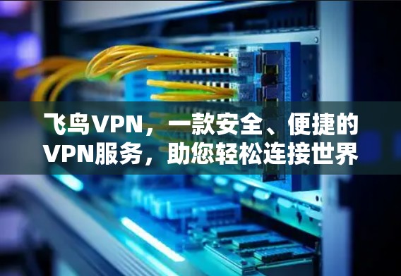 飞鸟VPN，一款安全、便捷的VPN服务，助您轻松连接世界