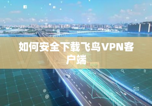 如何安全下载飞鸟VPN客户端