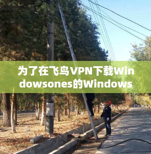 为了在飞鸟VPN下载Windowsones的Windows版,可以按照以下步骤进行操作 为了在飞鸟VPN下载Windowsones的Windows版,可以按照以下步骤进行操作