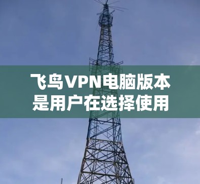 飞鸟VPN电脑版本是用户在选择使用飞鸟VPN时的一个关键因素。以下是一些关键信息和建议，帮助您更好地理解如何选择适合自己的VPN版本