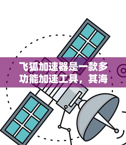 飞狐加速器是一款多功能加速工具，其海外网络的分布情况如下