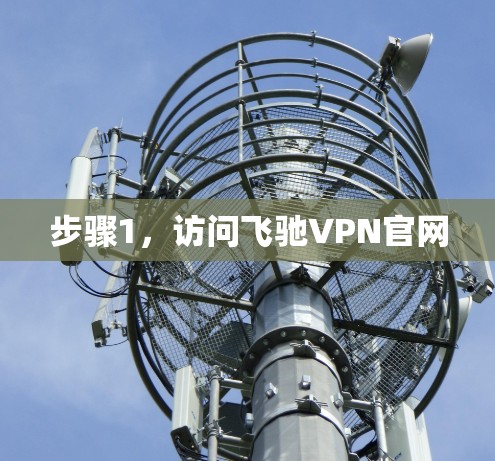 步骤1,访问飞驰VPN官网 步骤1,访问飞驰VPN官网