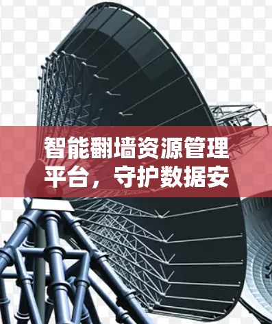 智能翻墙资源管理平台，守护数据安全的智慧之网