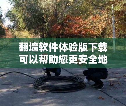 翻墙软件体验版下载可以帮助您更安全地访问互联网，无需依赖网络。以下是一些推荐的翻墙软件，它们提供全面的功能和安全措施