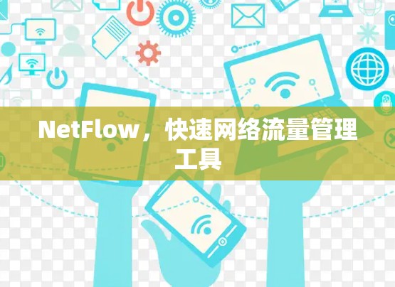 NetFlow，快速网络流量管理工具